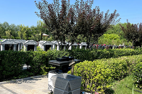 公墓环境